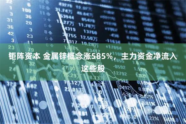 钜阵资本 金属锌概念涨585%，主力资金净流入这些股