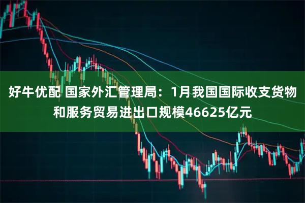 好牛优配 国家外汇管理局：1月我国国际收支货物和服务贸易进出口规模46625亿元
